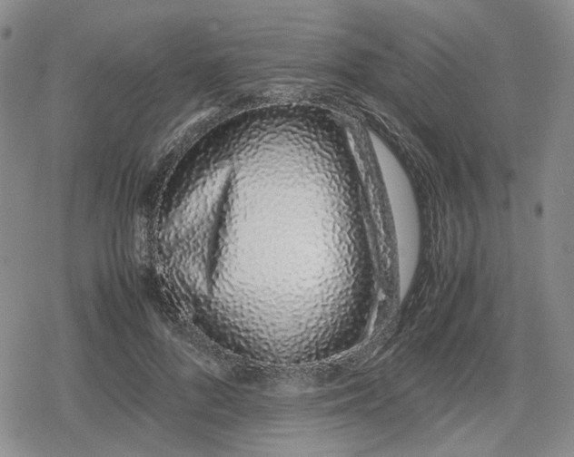 X0000079300696200612151727
