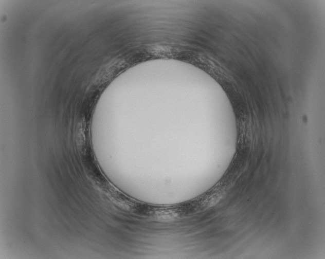 X0000079300702200612151727