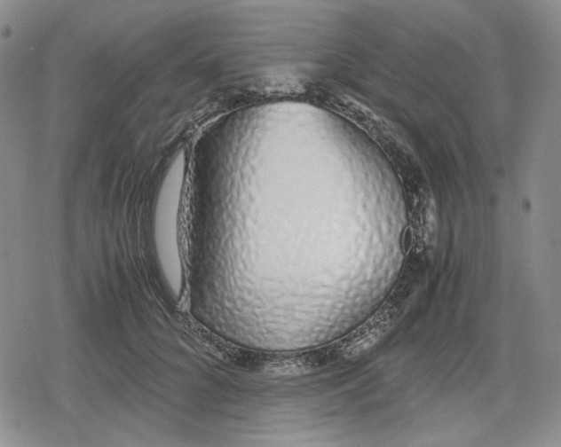 X0000079300704200612151727