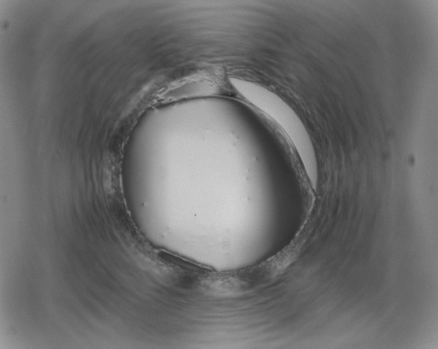 X0000079300712200612151727