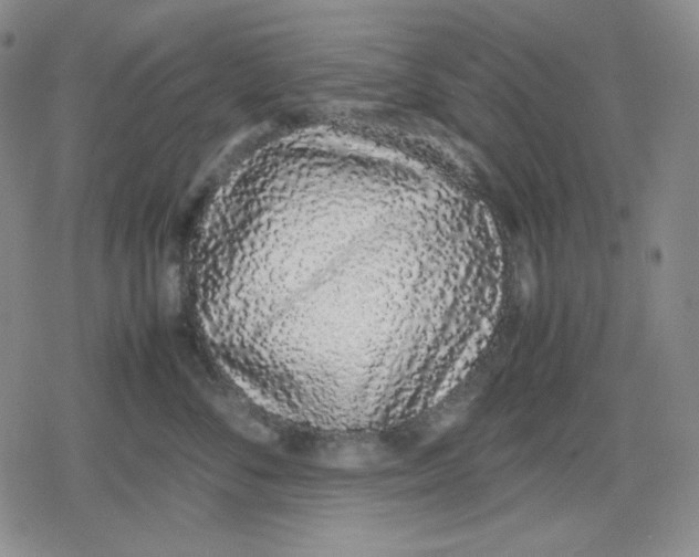 X0000079300716200612151727