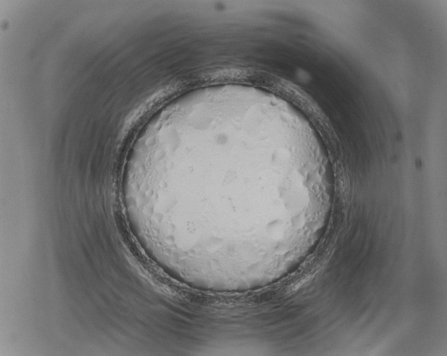 X0000079300725200612151726