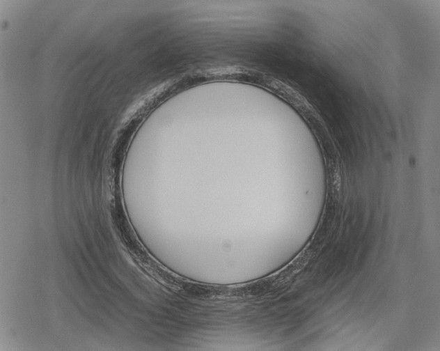 X0000079300732200612151726