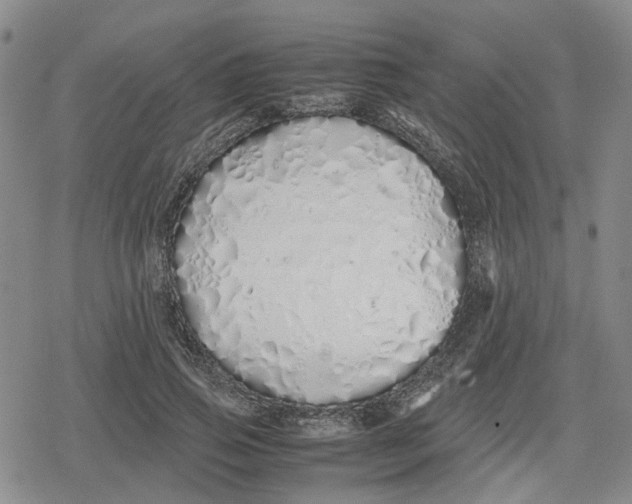 X0000079300741200612151726