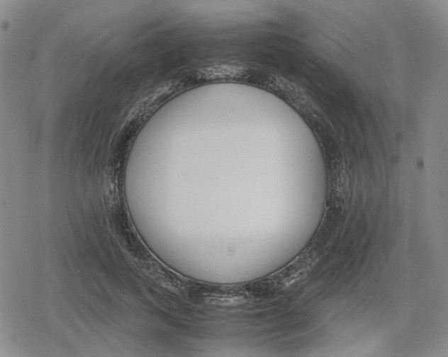 X0000079300743200612151727