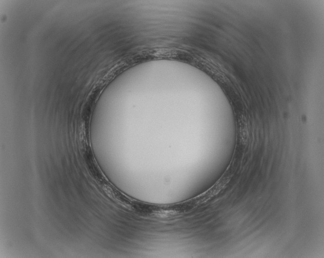 X0000079300748200612151727