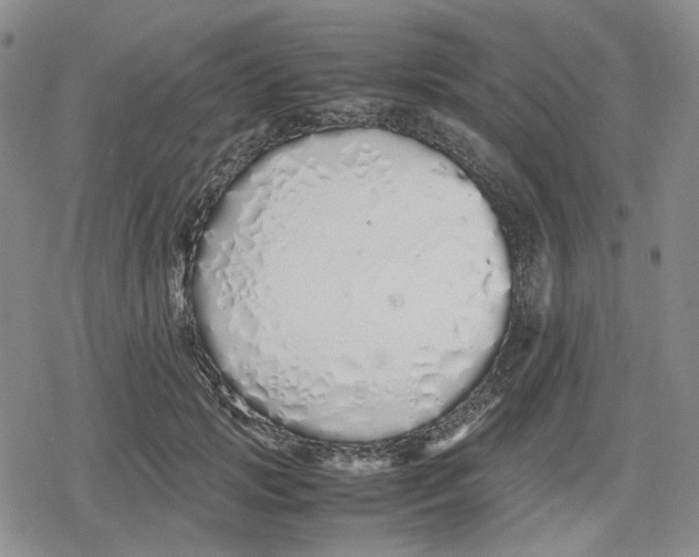 X0000079300749200612151727