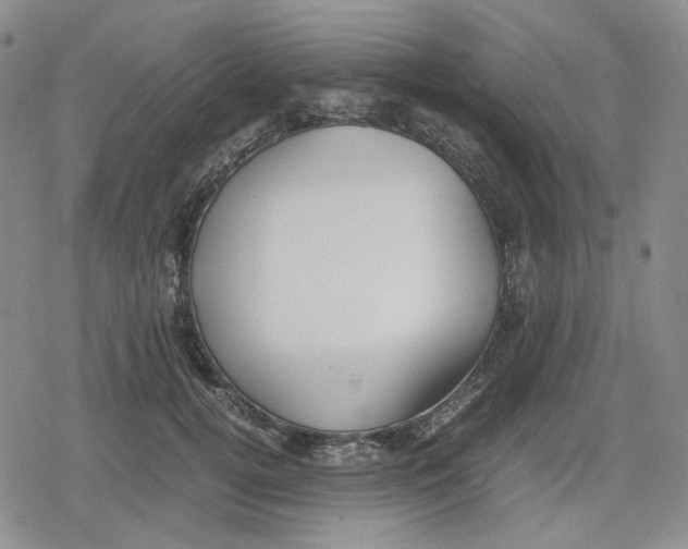 X0000079300752200612151727
