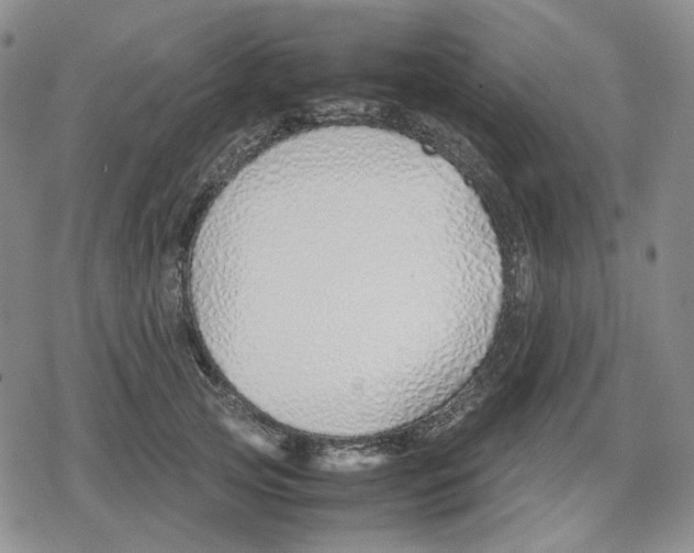 X0000079300753200612151727