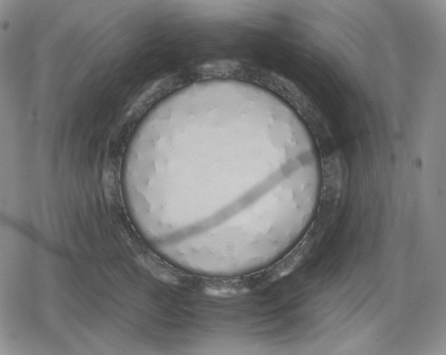 X0000079300761200612151727