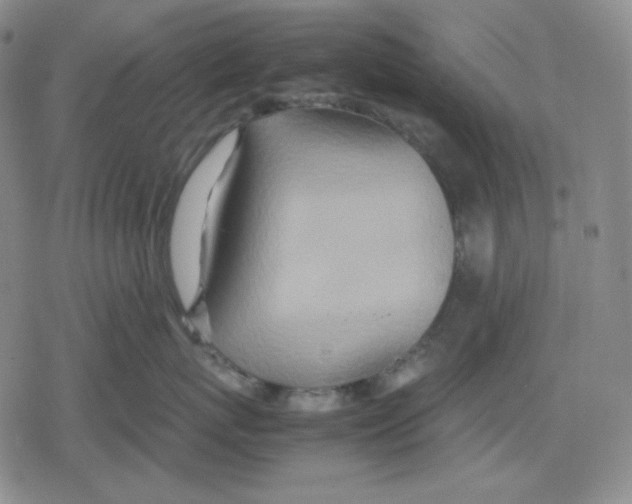 X0000079300767200612151727