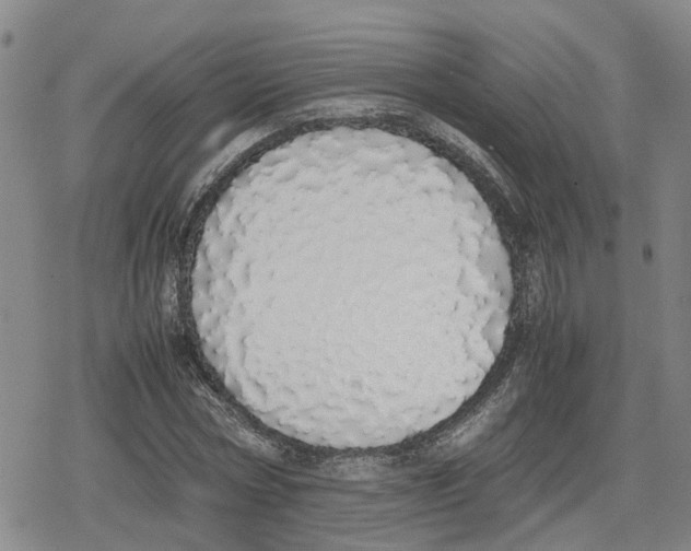X0000079300778200612151726