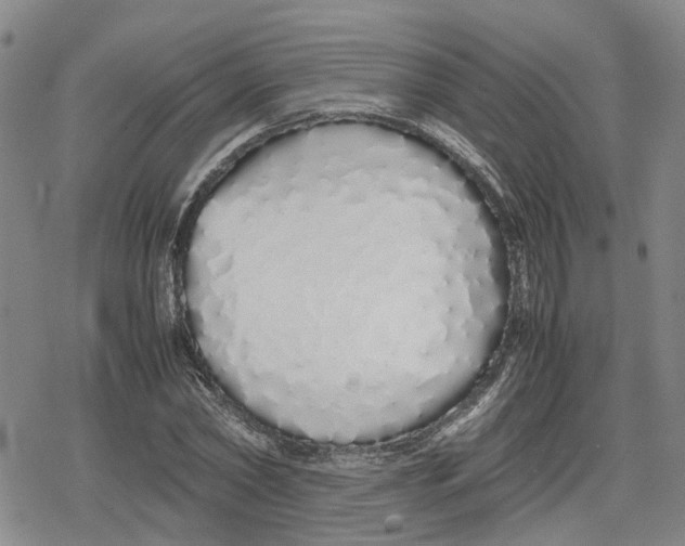 X0000079300782200612151726