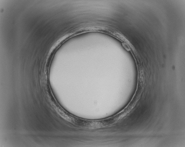X0000079300787200612151726
