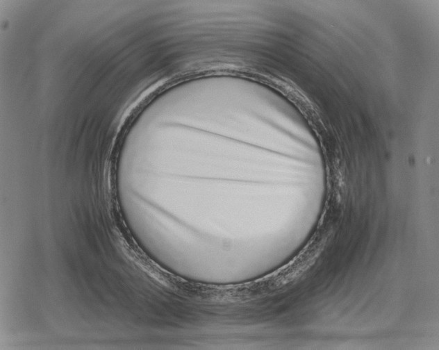 X0000079300790200612151726