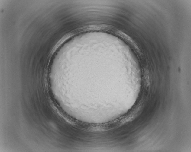 X0000079300794200612151726