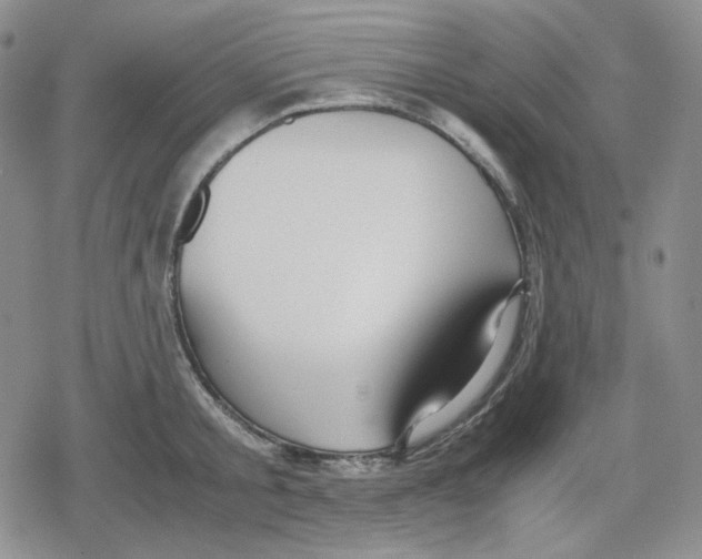 X0000079300805200612151726