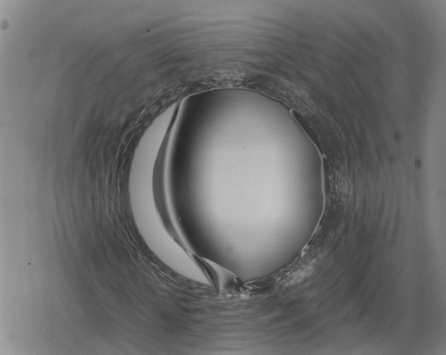 X0000079300818200612151725