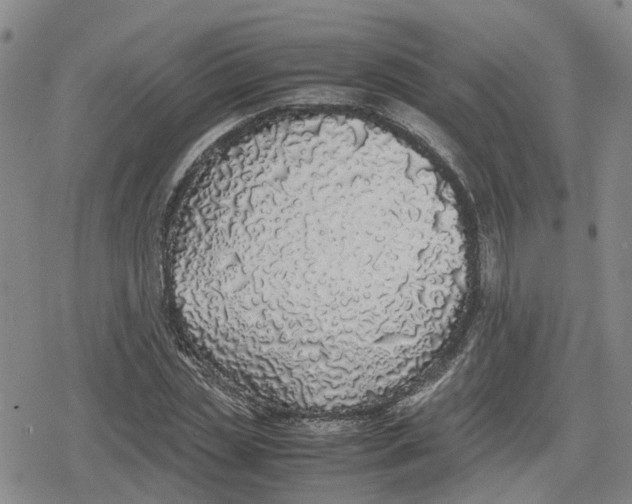 X0000079300829200612151725
