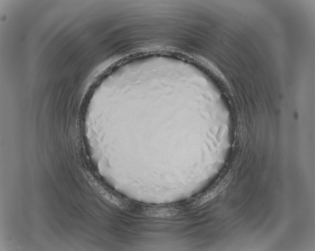 X0000079300831200612151725