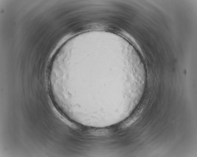 X0000079300851200612151725