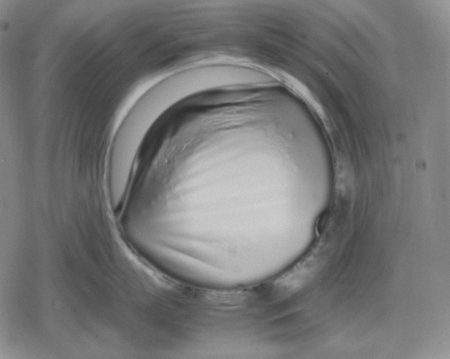 X0000079300863200612151725