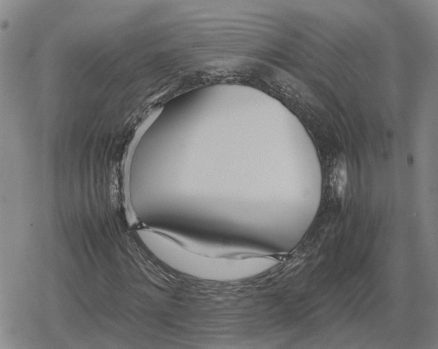X0000079300868200612151725