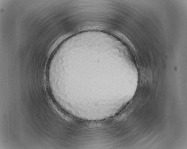 X0000079300890200612151724