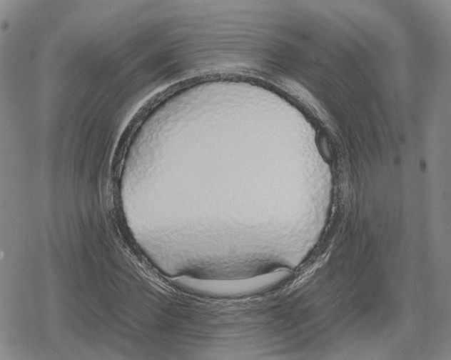 X0000079300924200612151723