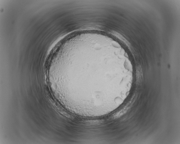 X0000079300925200612151723