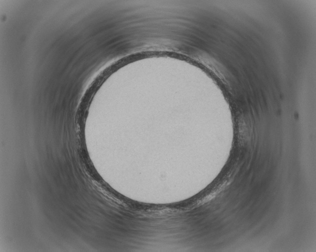 X0000079300926200612151723