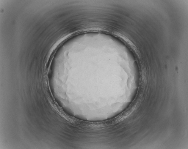 X0000079300933200612151723