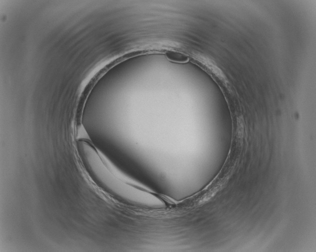 X0000079300936200612151723