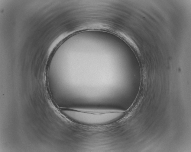 X0000079300944200612151724