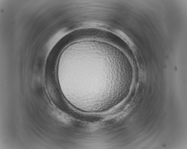 X0000079300948200612151724