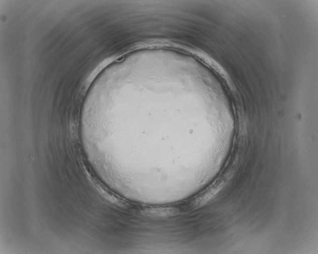 X0000079300953200612151724
