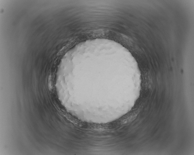 X0000079300962200612151723