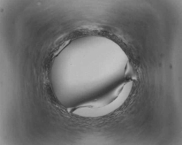 X0000079300965200612151723