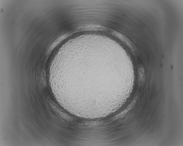 X0000079300970200612151723