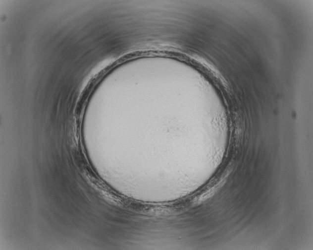 X0000079300974200612151723