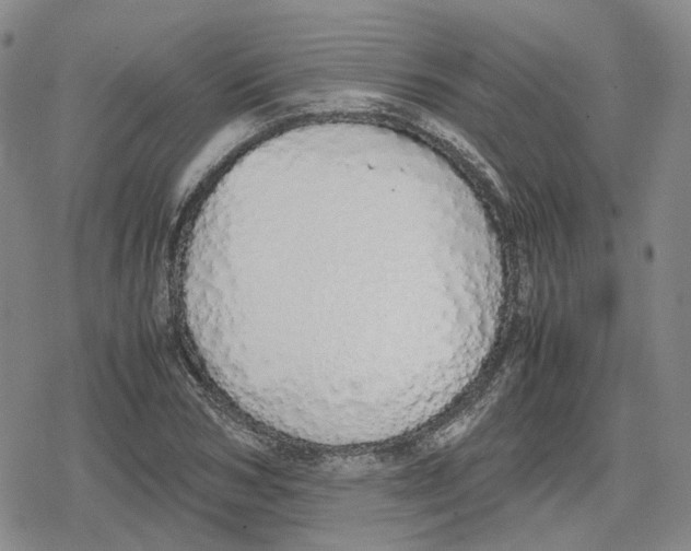 X0000079300978200612151723