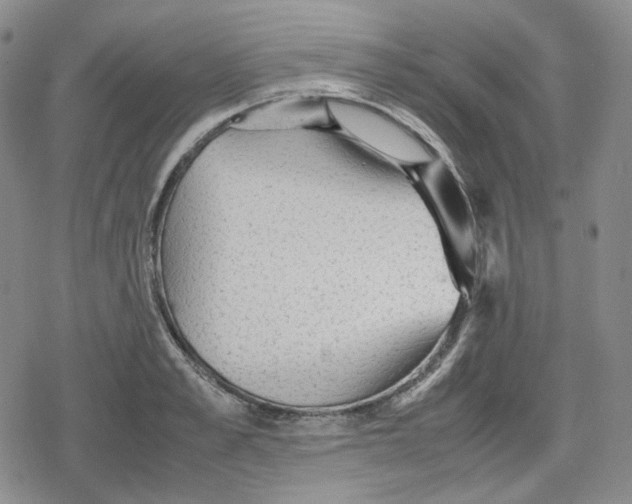 X0000079300989200612151723