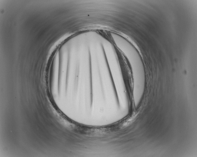 X0000079300995200612151722