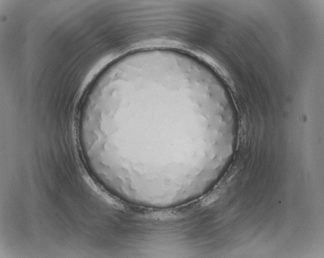 X0000079300998200612151722
