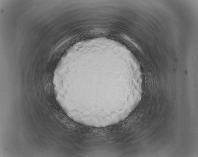X0000079301015200612151722