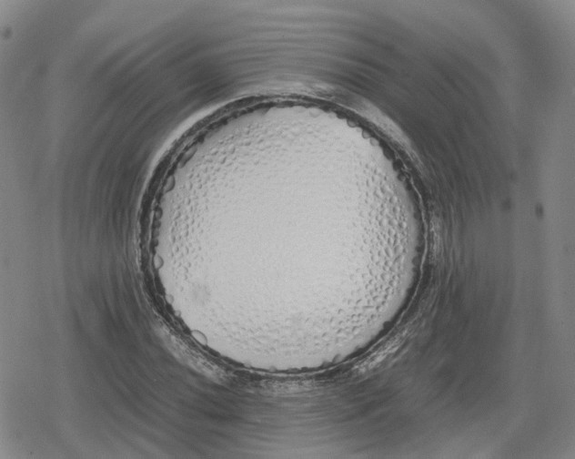 X0000079301020200612151722