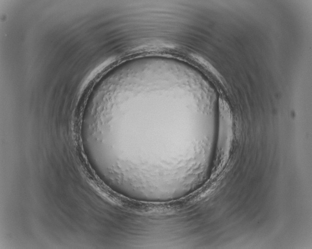 X0000079301026200612151722