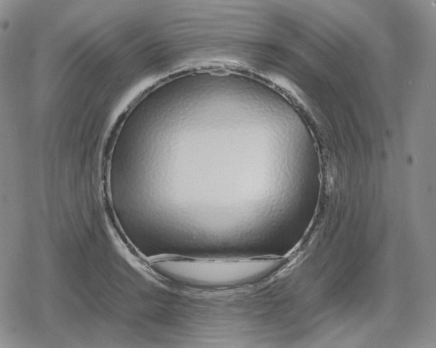 X0000079301038200612151722