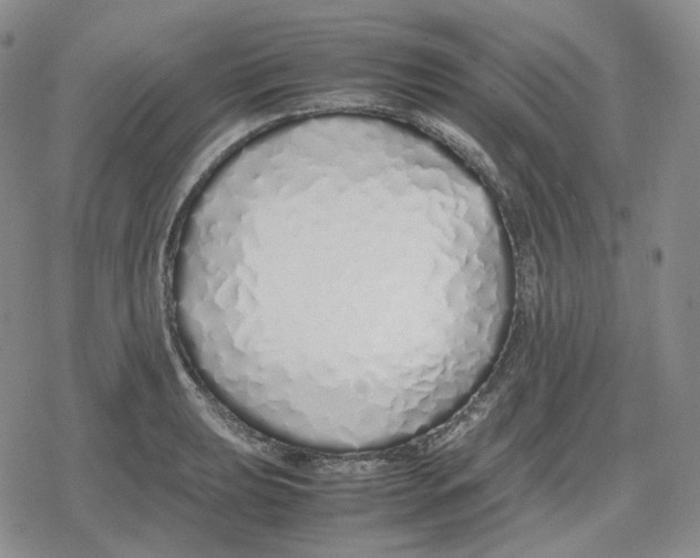 X0000079301039200612151722