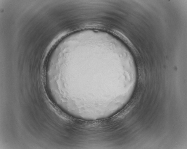 X0000079301043200612151722